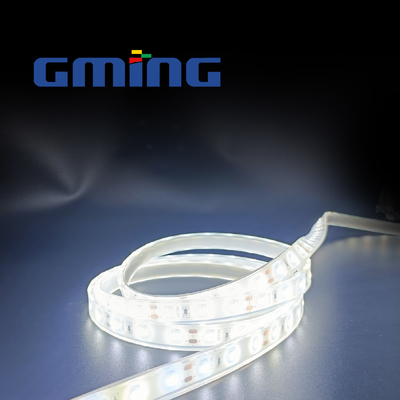 5 M / Roll SMD 2835 LED Strip 120 مصباح أحادي اللون IP67 مقاوم للماء